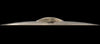 Sabian HHX 20" Redlight Crash - Cymbal House