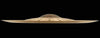 Sabian AA 21" Holy China Natural Finish - Cymbal House